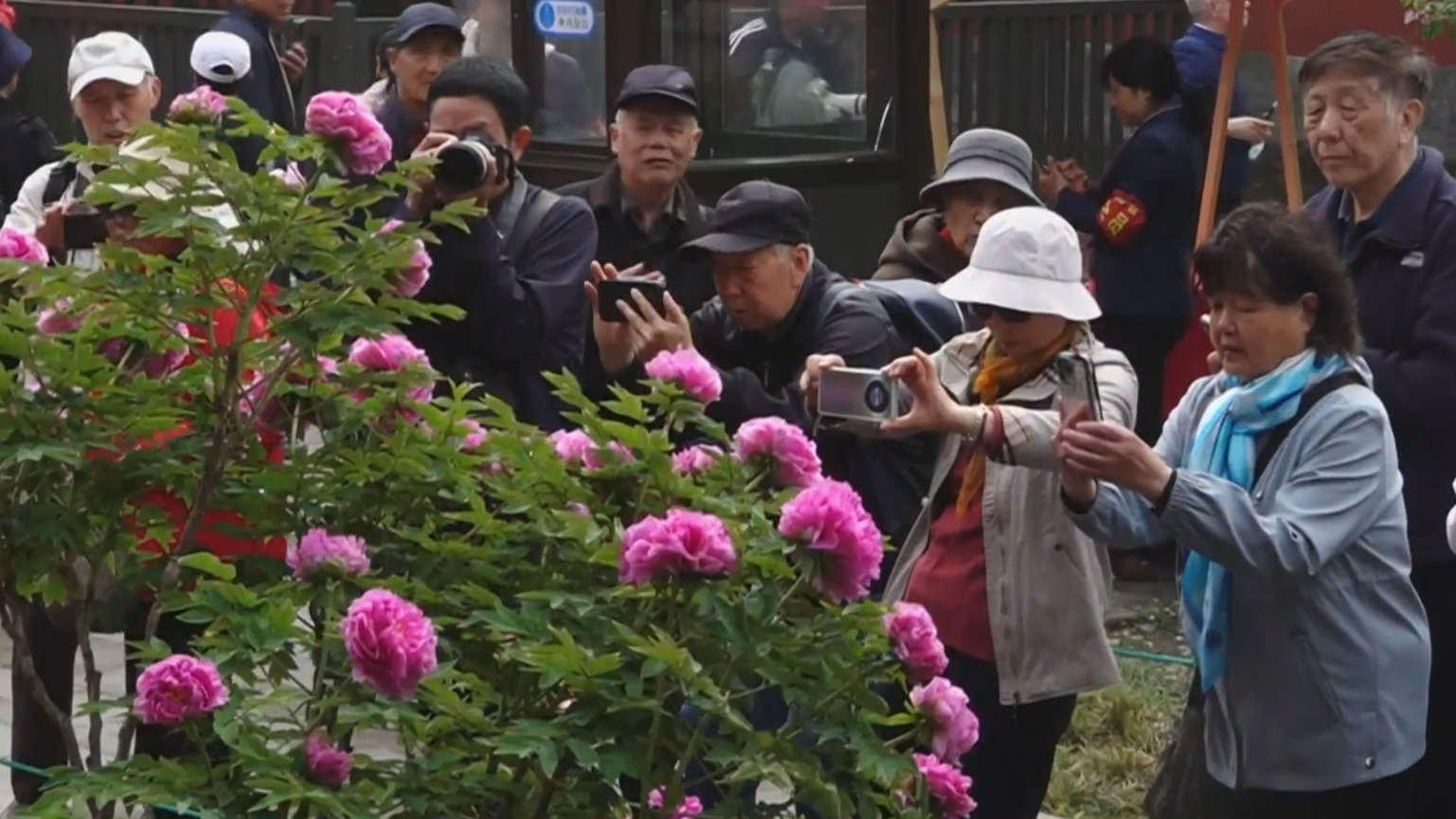 观影入花径 书香赴春约 北京三大文化品牌联动邀市民共赴“春日之约” 观影入花径 书香赴春约 北京三大文化品牌联动邀市民共赴“春日之约”