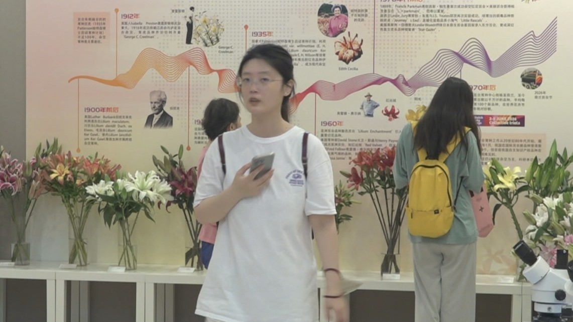 百合花海绽放京城 解锁端午都市农趣体验 百合花海绽放京城 解锁端午都市农趣体验