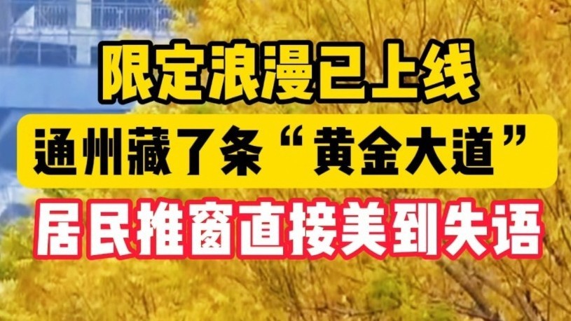 限定浪漫已上线!通州藏了条“黄金大道” 居民推窗直接美到失语 限定浪漫已上线!通州藏了条“黄金大道” 居民推窗直接美到失语