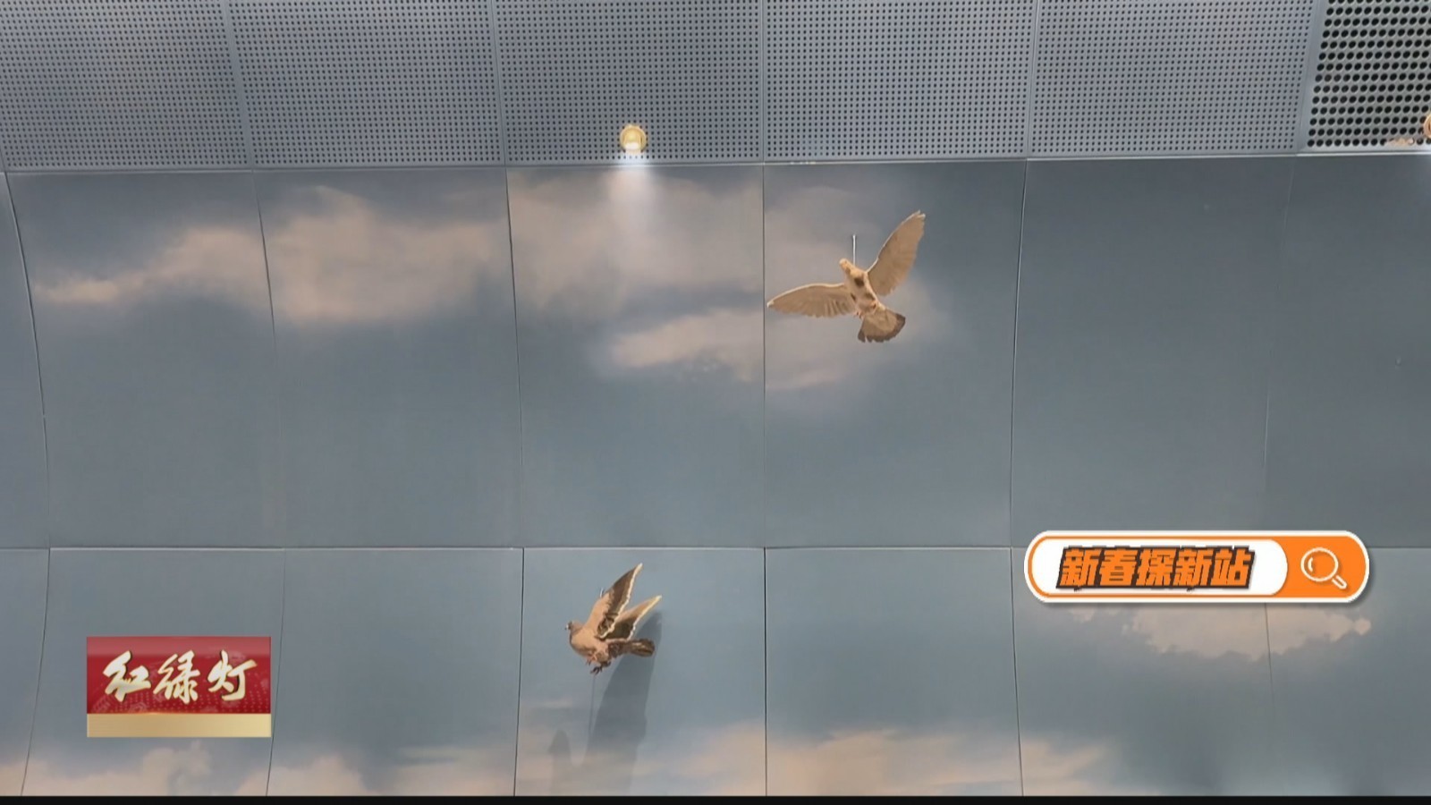 新春探新站:12号线和平西桥站 站内“飞”满了和平鸽 新春探新站:12号线和平西桥站 站内“飞”满了和平鸽