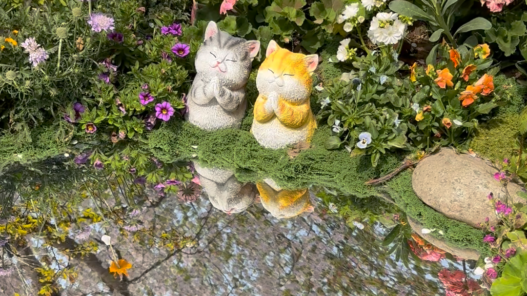 童话照进现实!快来玉渊潭公园一起打卡镜子里的春天 童话照进现实!快来玉渊潭公园一起打卡镜子里的春天