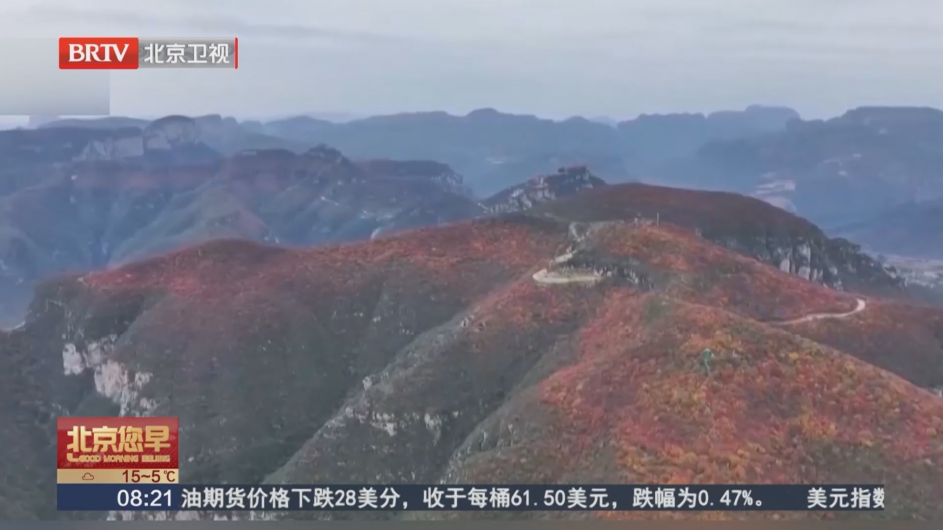 河北邢台 上万亩黄栌染秋 红叶观赏进入最佳期_北京时间