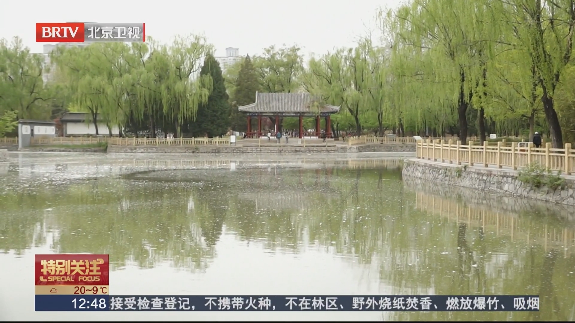 本周天气持续晴暖 外出防护不可松懈