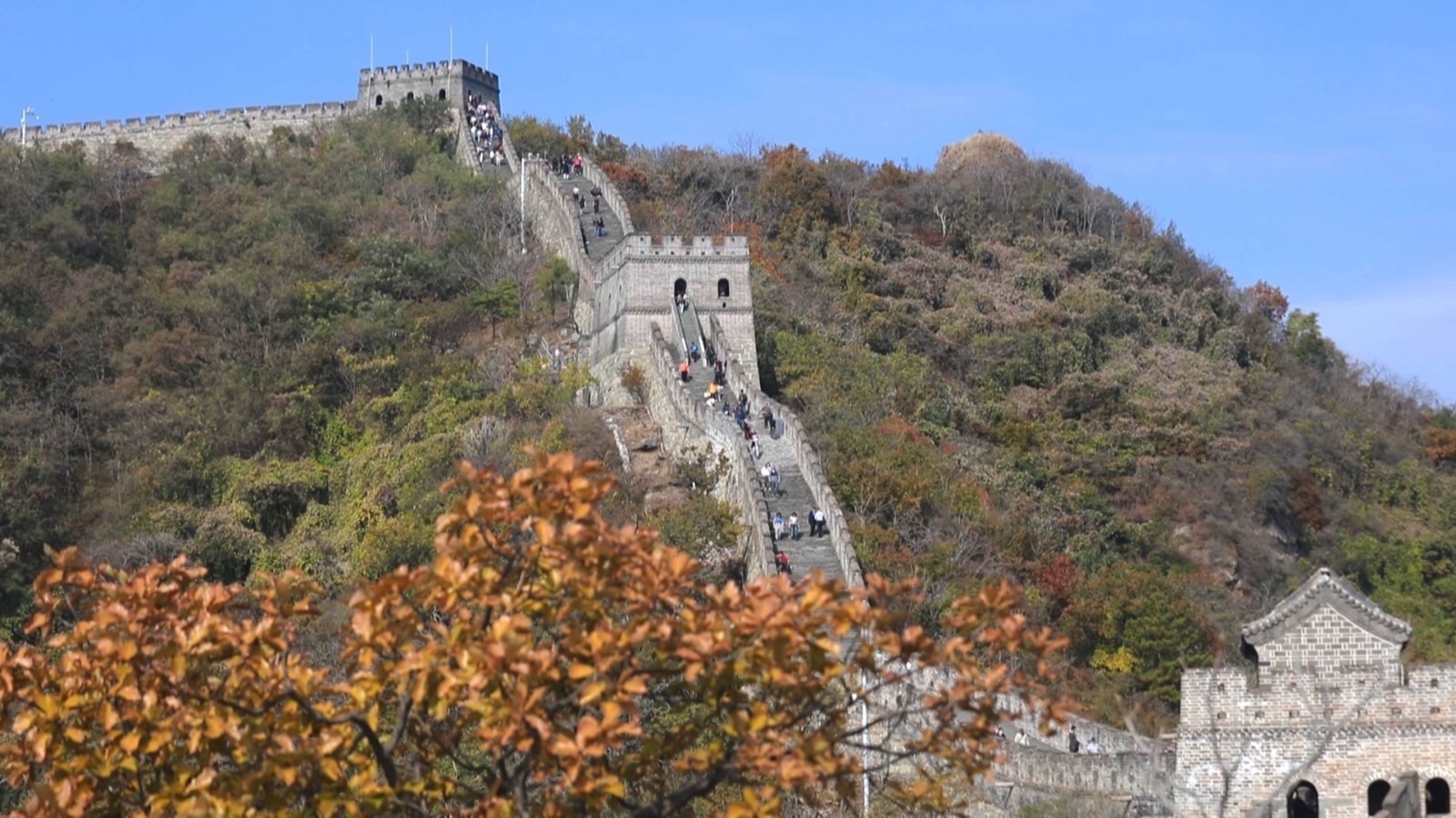 层林尽染映古城，怀柔慕田峪长城秋意浓
