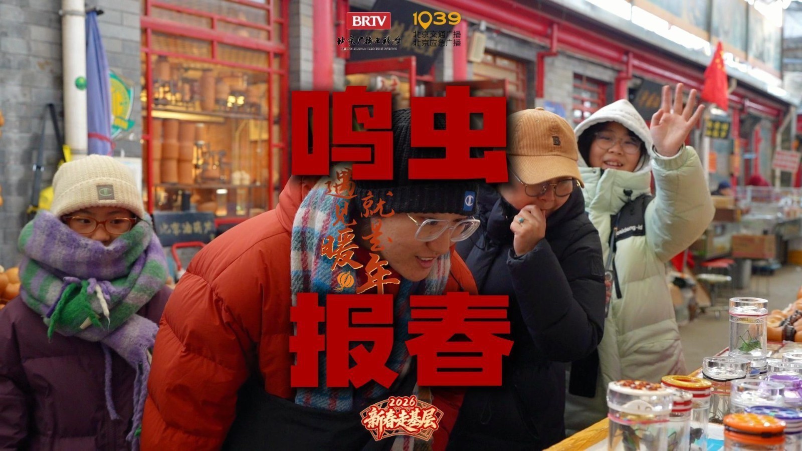 老北京的春节少不了一声清脆的虫鸣 老北京的春节少不了一声清脆的虫鸣