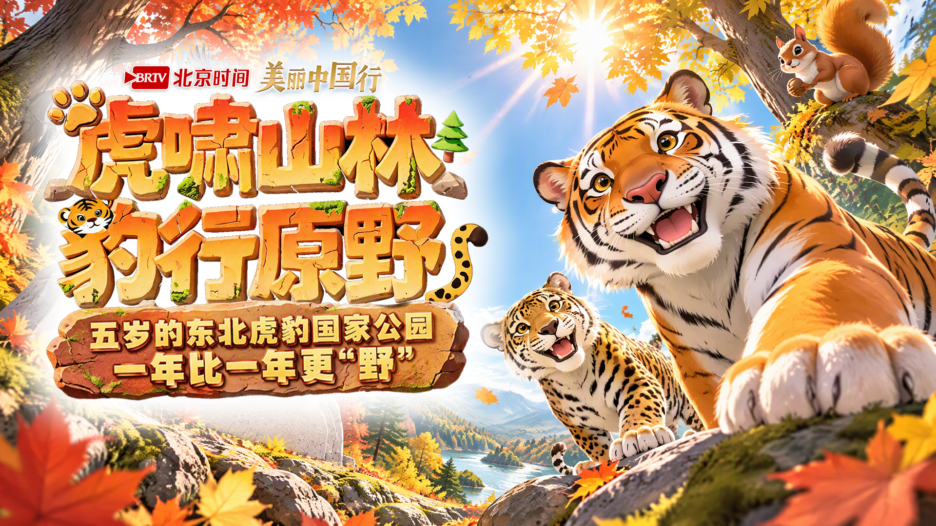 美丽中国行|五岁的东北虎豹国家公园,一年比一年更“野”! 美丽中国行|五岁的东北虎豹国家公园,一年比一年更“野”!