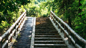 三人为博眼球编造“山道打劫”谣言被行拘