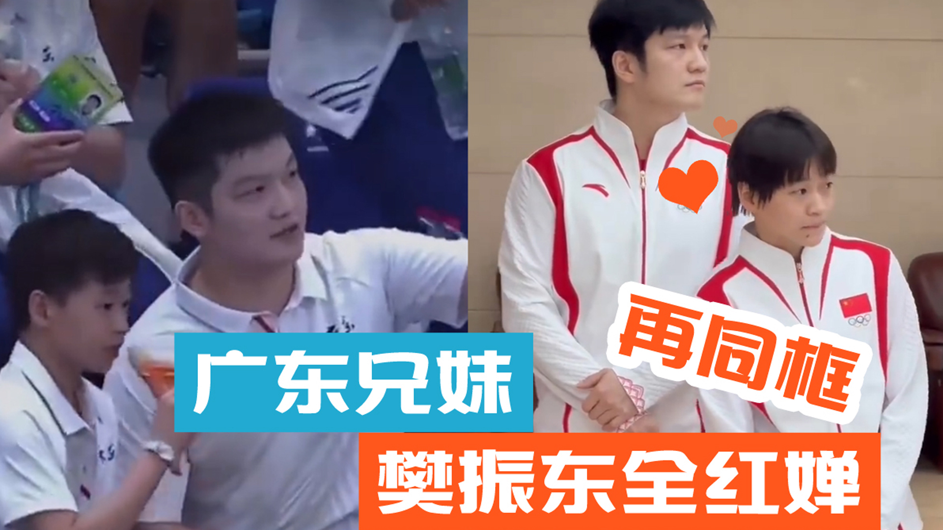 樊振东全红婵再同框，梦回2021年全运会“我那么大一只她那么点儿”！