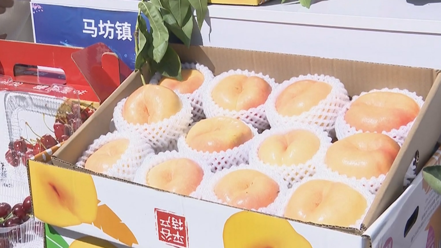 亚洲最大单体物流项目落地平谷区 亚洲最大单体物流项目落地平谷区