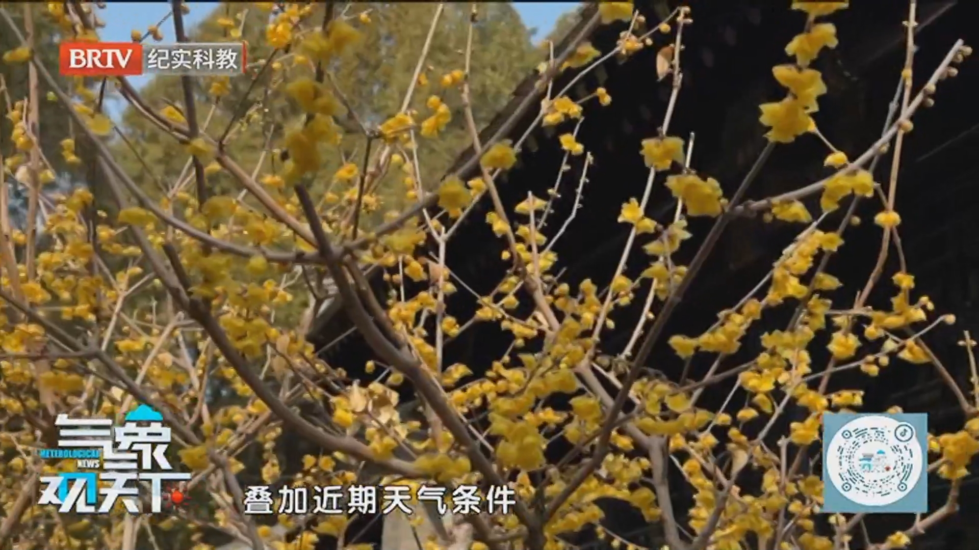 《气象观天下》20260309雨雪之后晴空现 京城回暖正当时