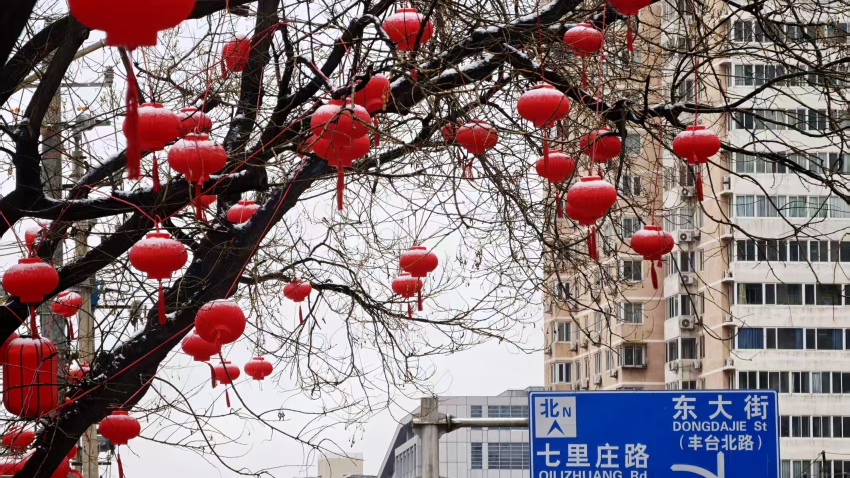 推窗见雪！北京这场春雪藏满小确幸
