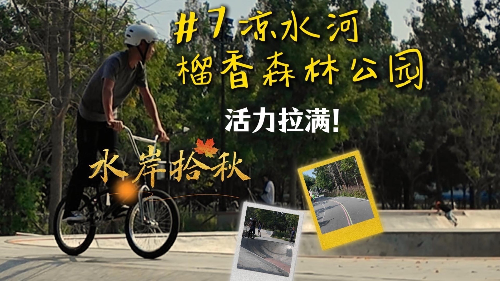 水岸拾秋|带上滑板来这里!凉水河·榴香森林公园活力值拉满→ 水岸拾秋|带上滑板来这里!凉水河·榴香森林公园活力值拉满→