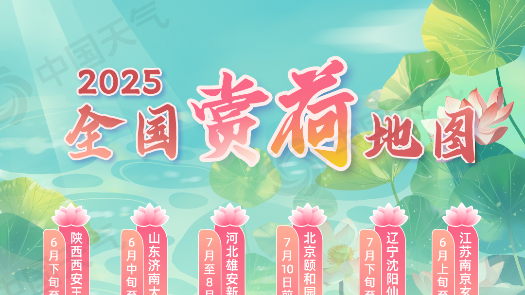 夏日颜值担当！2025全国赏荷地图来了 带你赴一场荷塘“悦”色