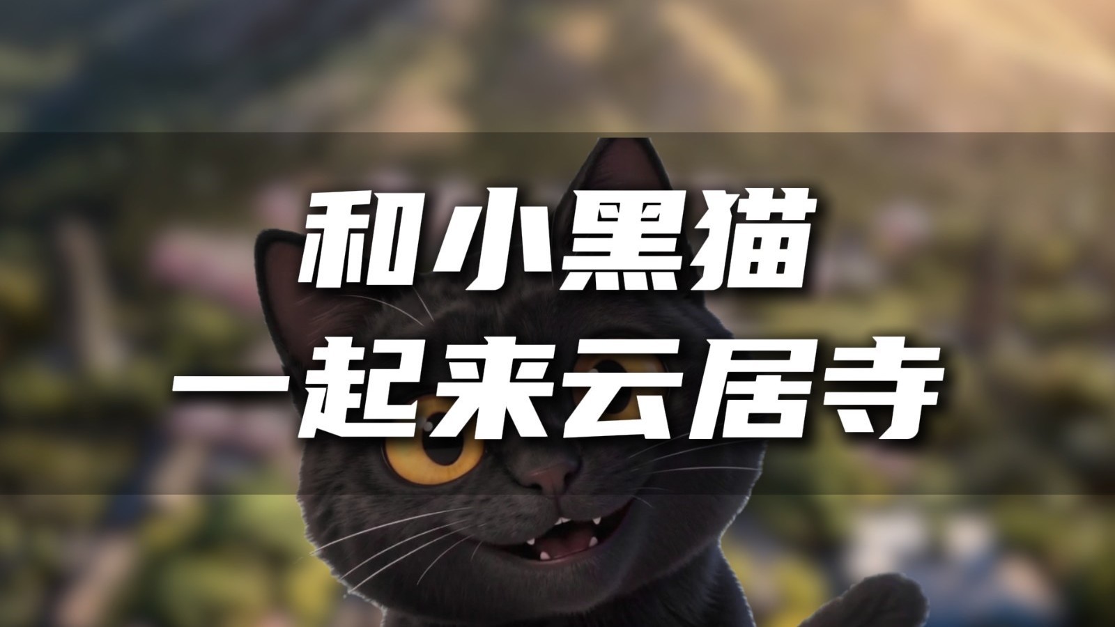 千年古刹里还有这样一群小可爱，来云居寺解锁撸猫摸鱼时光