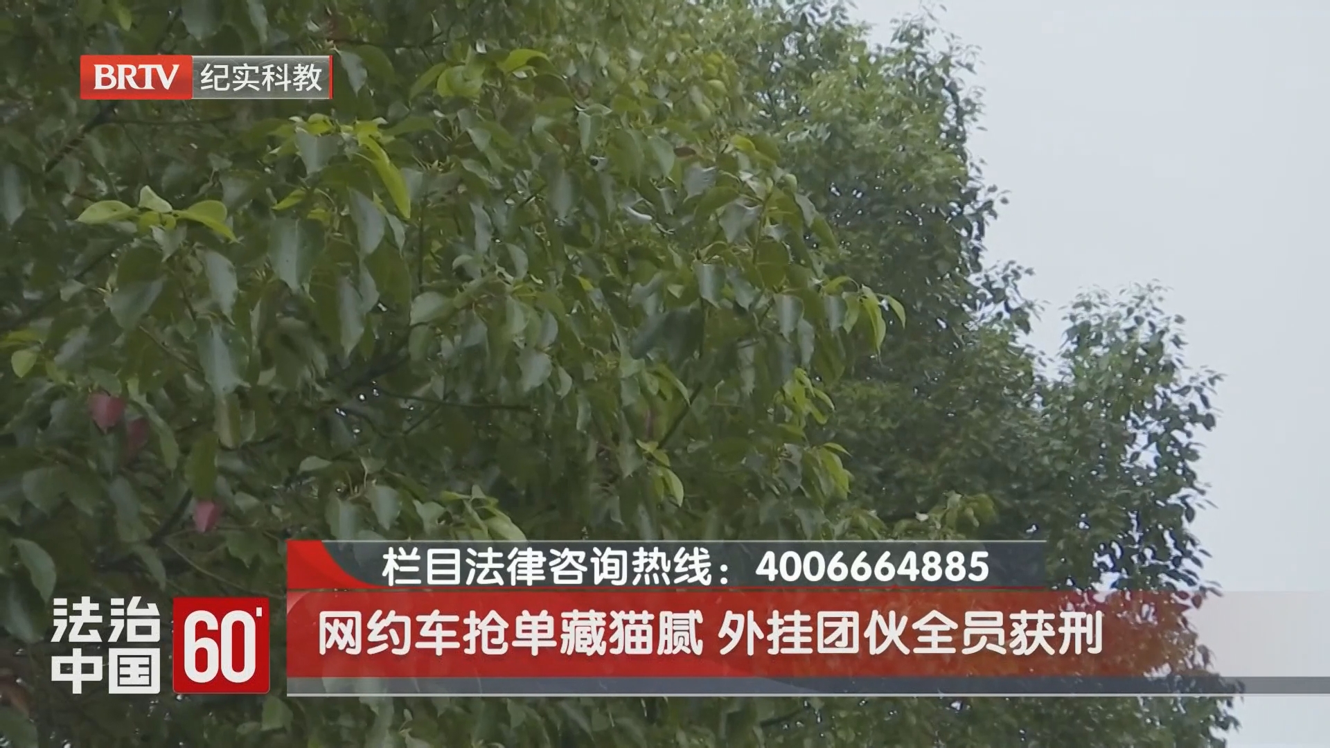 网约车抢单藏猫腻 外挂团伙全员获刑