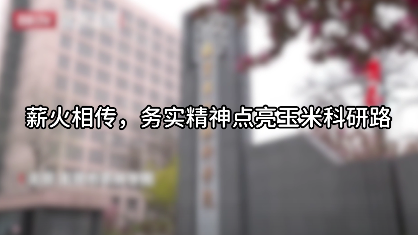 薪火相传务实精神点亮玉米科研路