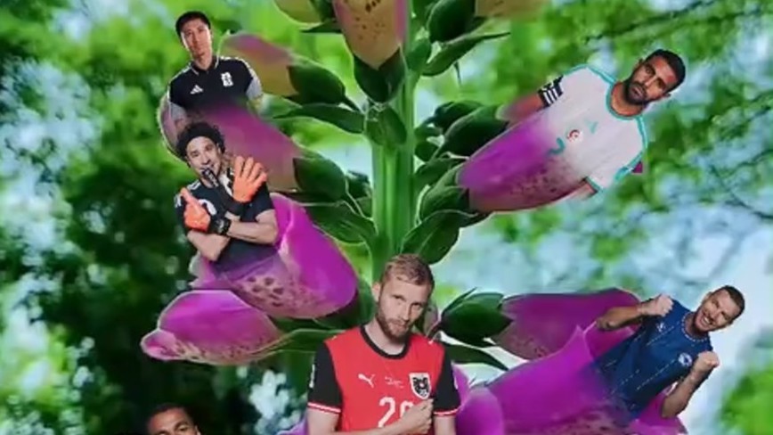 太魔性!世界杯官号宣传片笑翻,世界杯来中国也得“花开富贵”,网友:花顶开出马宁真绷不住了 太魔性!世界杯官号宣传片笑翻,世界杯来中国也得“花开富贵”,网友:花顶开出马宁真绷不住了