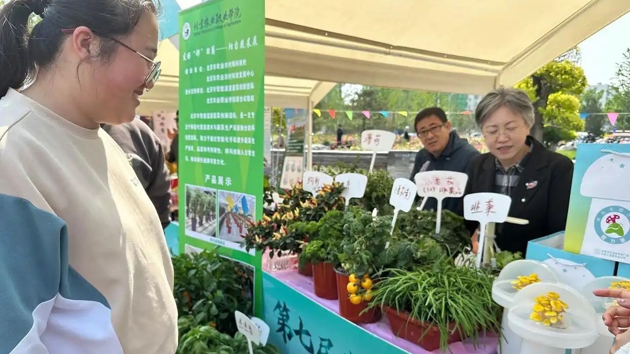 邻里节活动举办  6000余位居民打卡体验