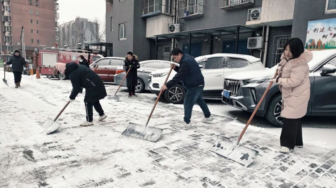 初雪落下时,大兴区清源街道给的“安全感”也同步送达 初雪落下时,大兴区清源街道给的“安全感”也同步送达