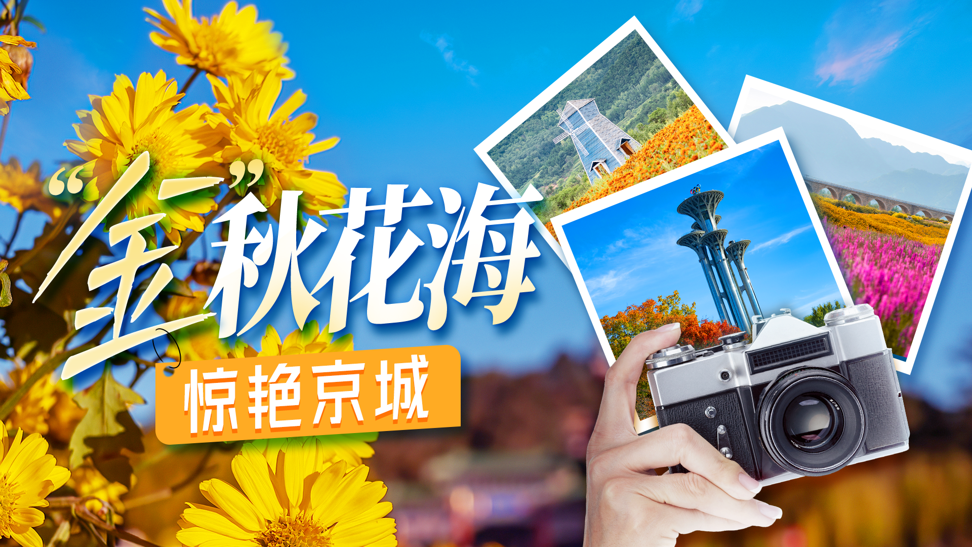 京城初秋限定 邀您共赏金色浪漫花海 京城初秋限定 邀您共赏金色浪漫花海