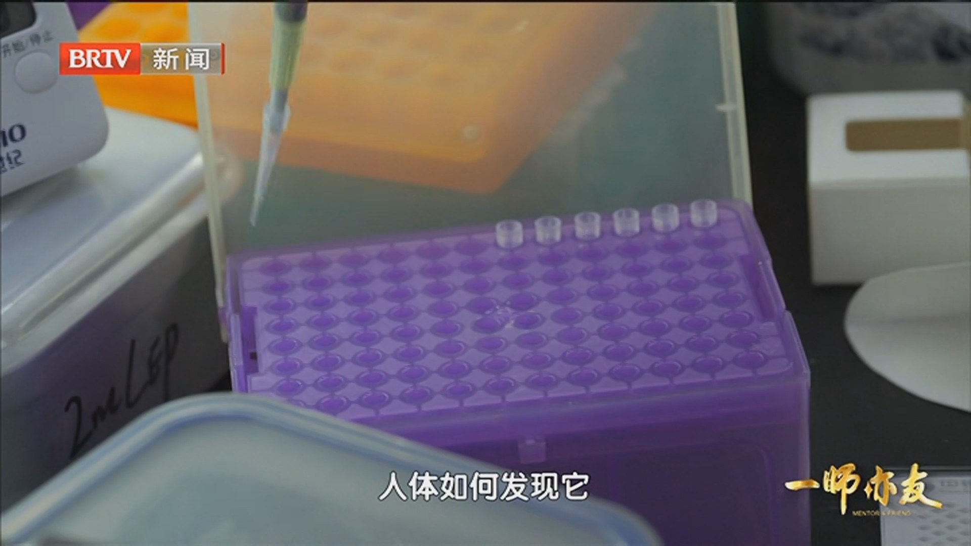 细胞焦亡创新药 聚焦炎症与肿瘤治疗 细胞焦亡创新药 聚焦炎症与肿瘤治疗