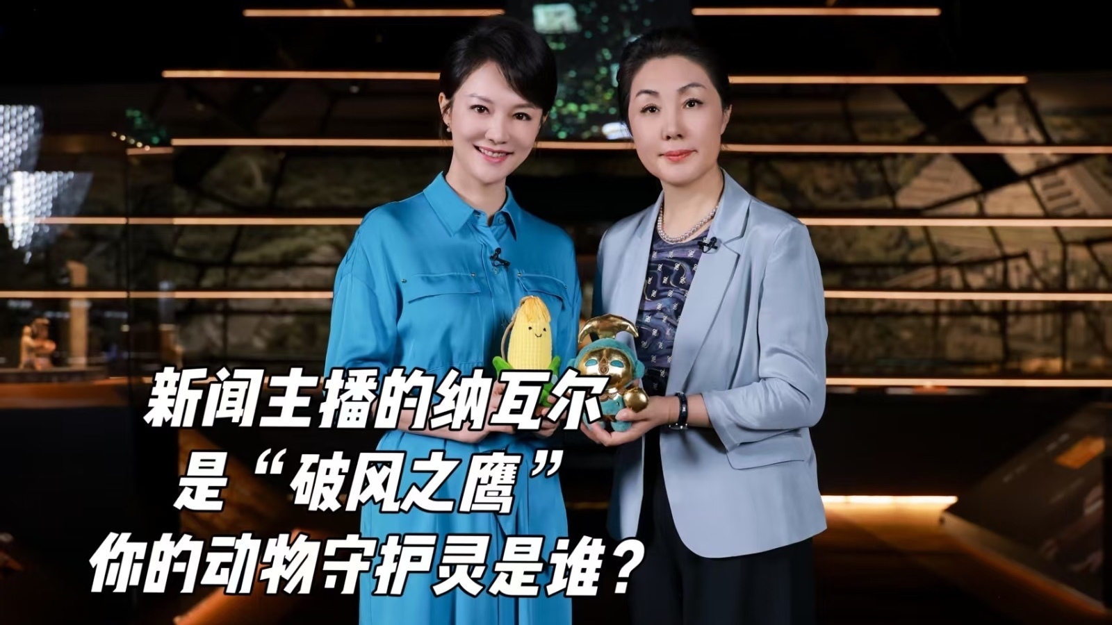 新闻主播的纳瓦尔是“破风之鹰” 你的动物守护灵是谁？