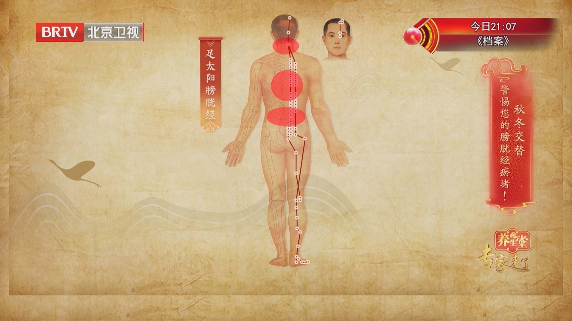 《养生堂》20251103打通膀胱经人长寿 《养生堂》20251103打通膀胱经人长寿