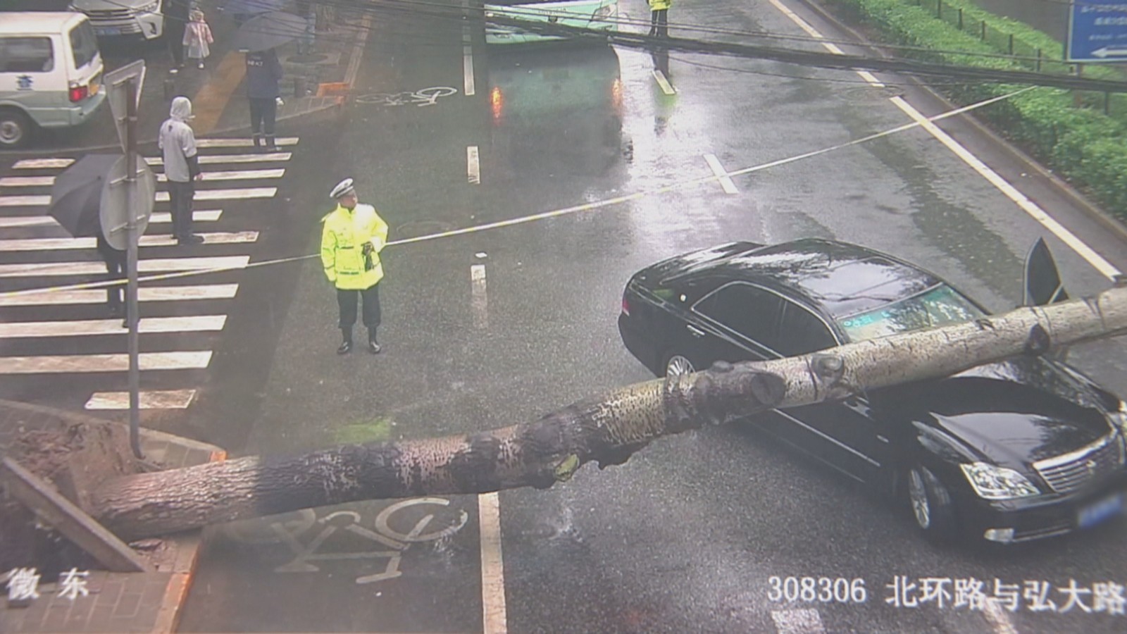 5月9日北京普降大雨 部分路段大树倒伏 “城市守卫者们”紧急处置