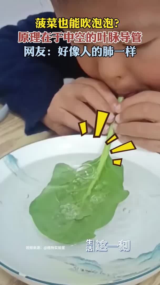 菠菜竟能吹泡泡 原理学起来！