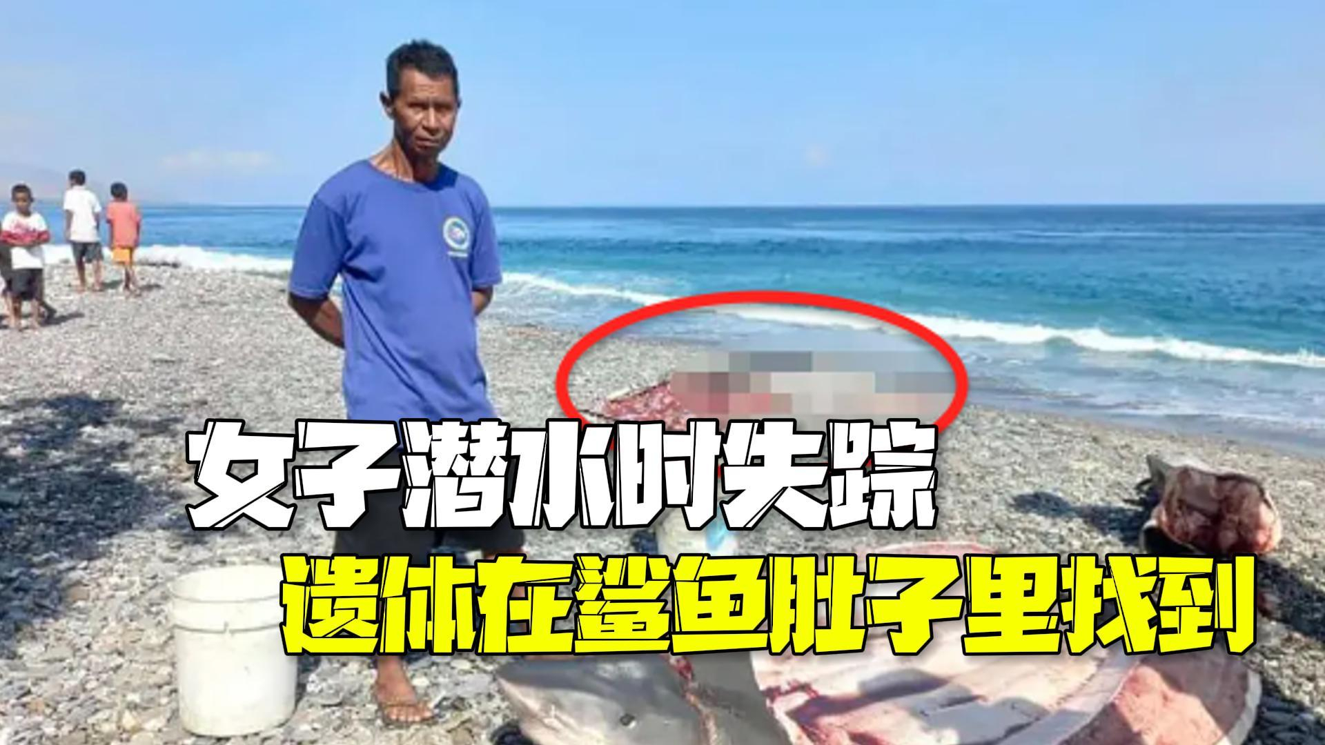 美国女子印尼潜水时失踪 两周后遗体在鲨鱼肚子里找到 美国女子印尼潜水时失踪 两周后遗体在鲨鱼肚子里找到