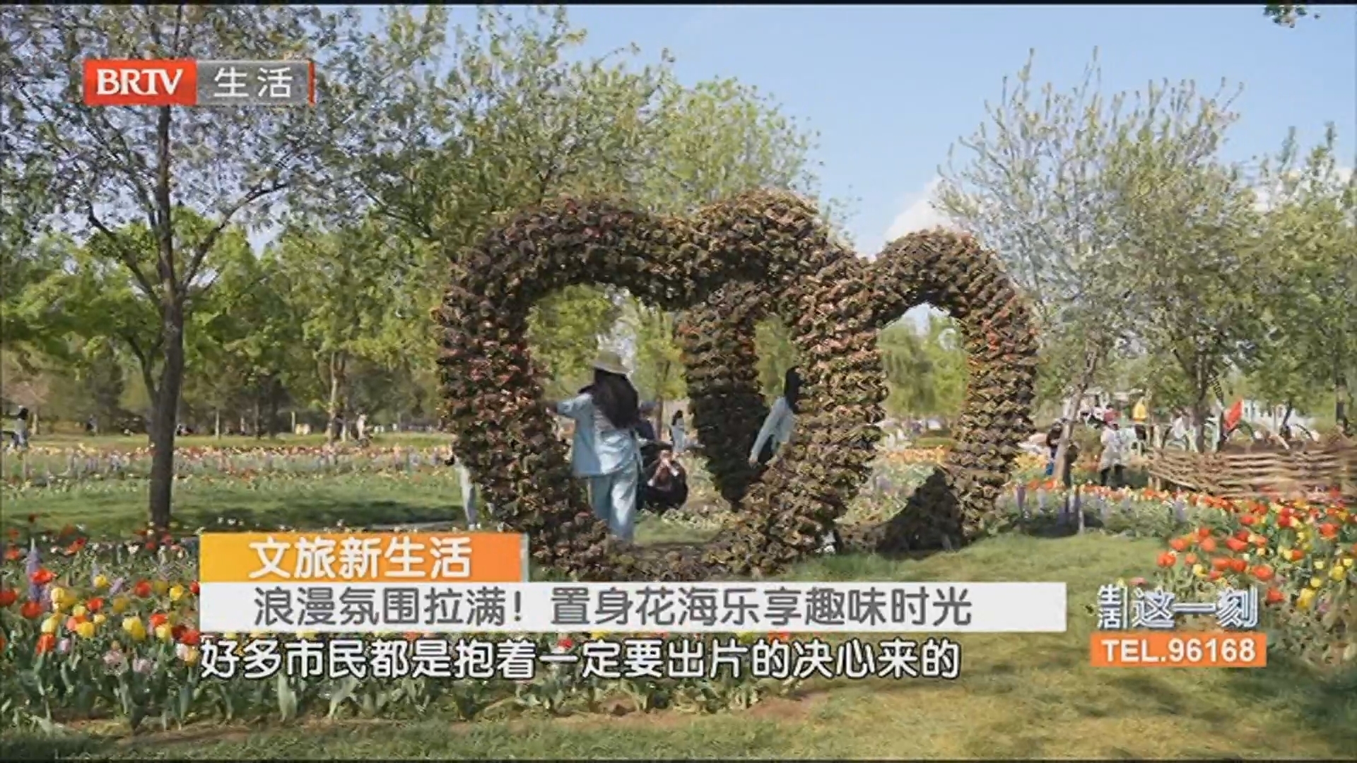 文旅新生活 浪漫氛围拉满！置身花海乐享趣味时光