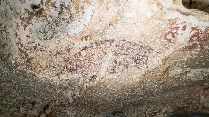 印尼现世界已知最古老洞穴绘画 距今超5.1万年