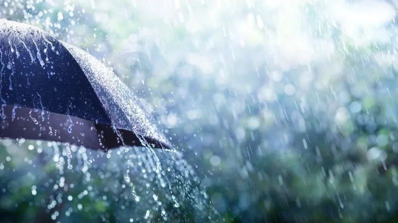 雨势升级!今天最高气温31℃ 暴雨黄色和雷电黄色预警中 雨势升级!今天最高气温31℃ 暴雨黄色和雷电黄色预警中
