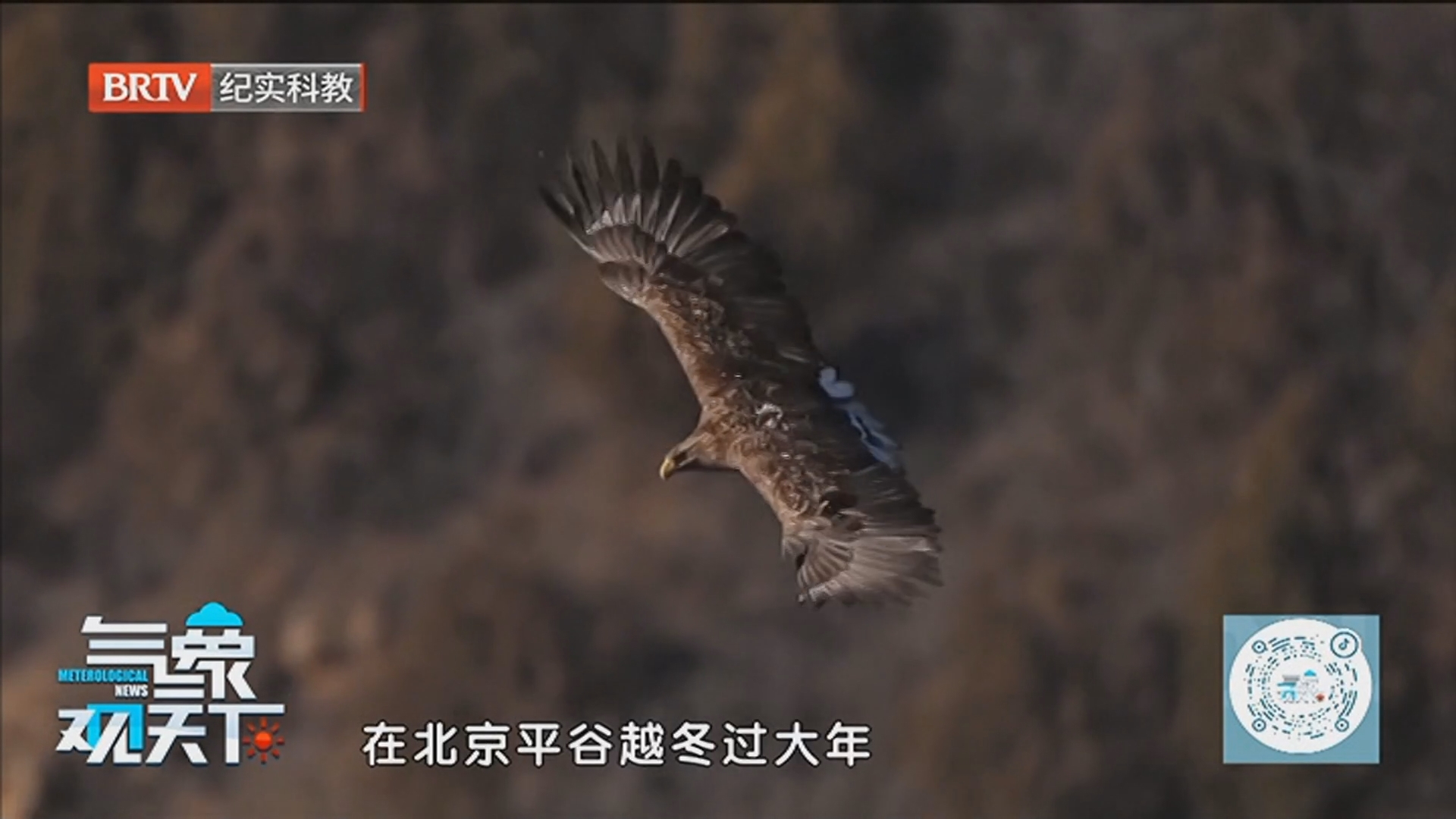 《气象观天下》20260302南方雨水充沛 北方气温反复横跳