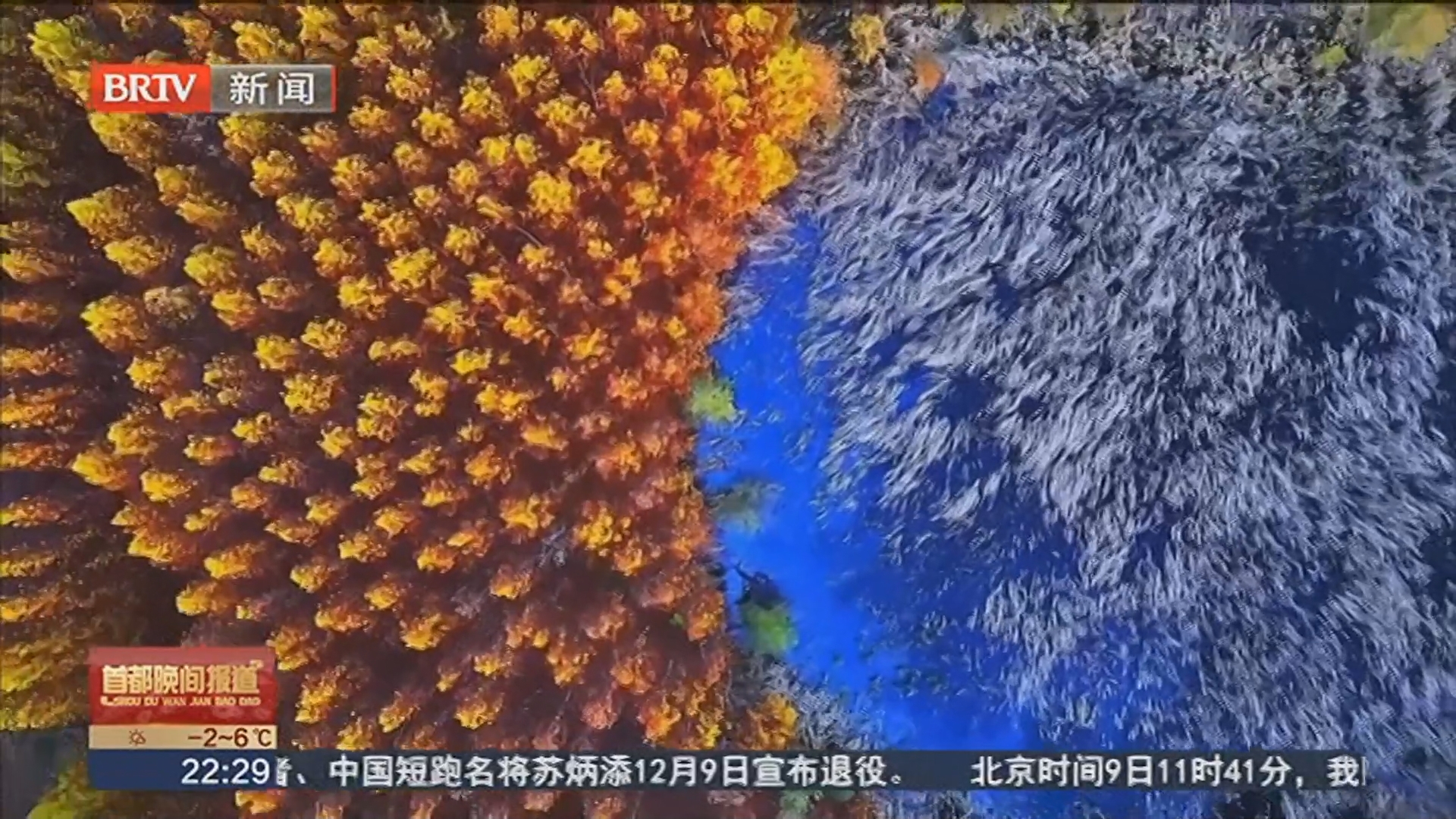 西双湖湿地公园：色彩斑斓的水杉林