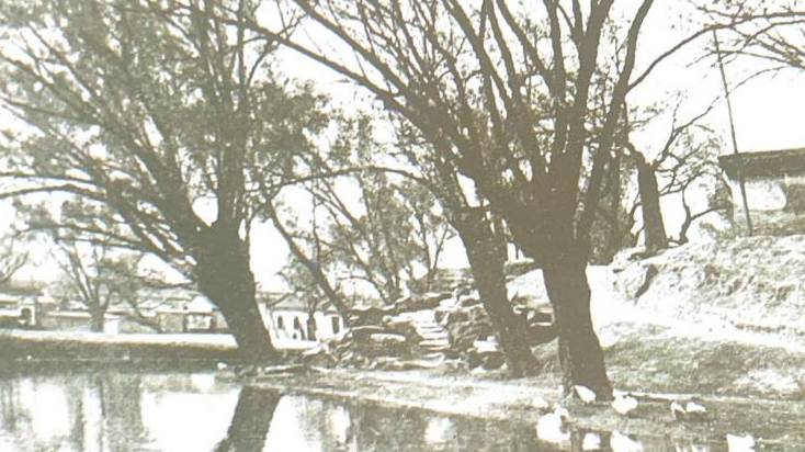 跟着老舍先生游北京:原来你曾是这样的积水潭 跟着老舍先生游北京:原来你曾是这样的积水潭