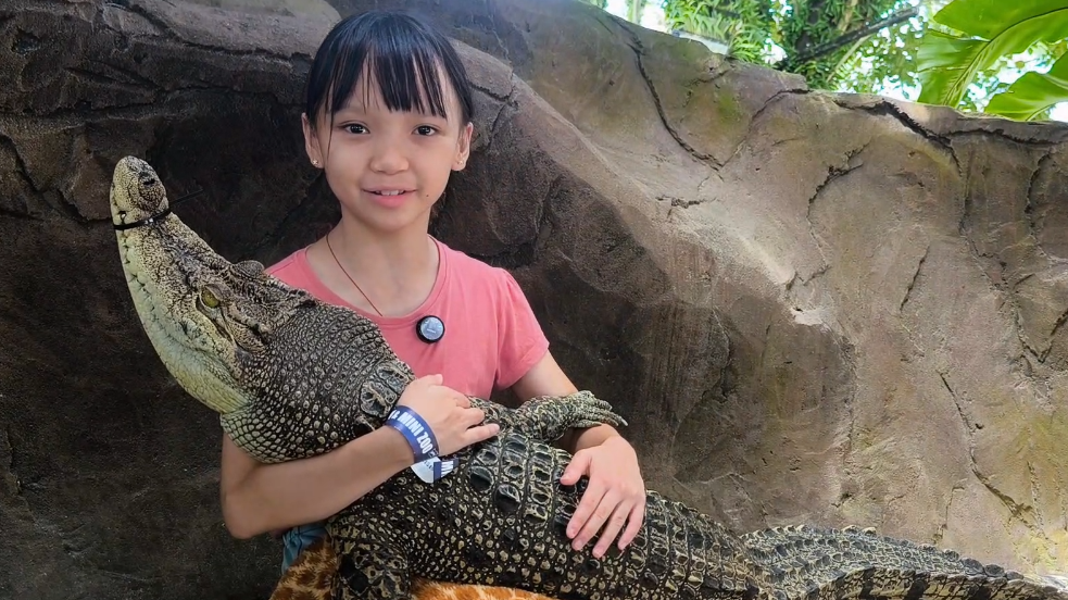 2025全球PK赛二等奖：马来西亚华校教师会总会 林芝巸