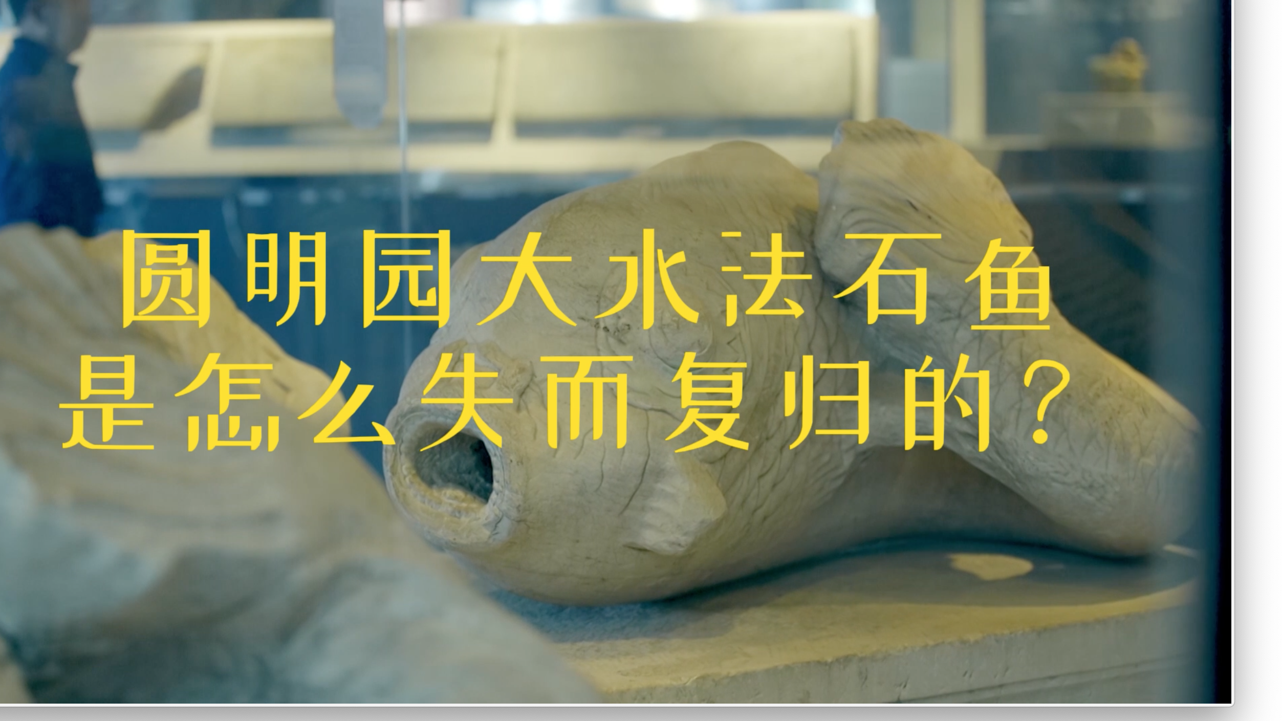 亲历者讲述：圆明园大水法前的石鱼失而复归的过程