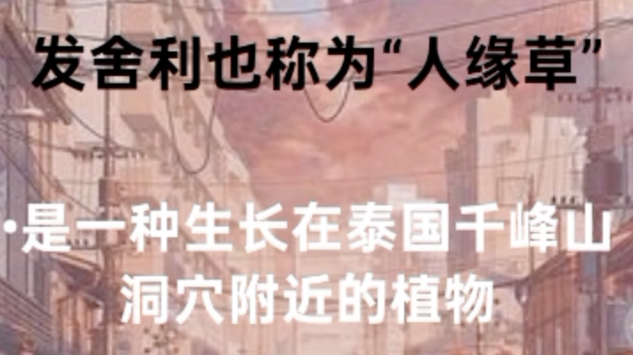 2025华星小记者作品展播： 马来西亚华校教师会总会记者站总站 叶恩廷