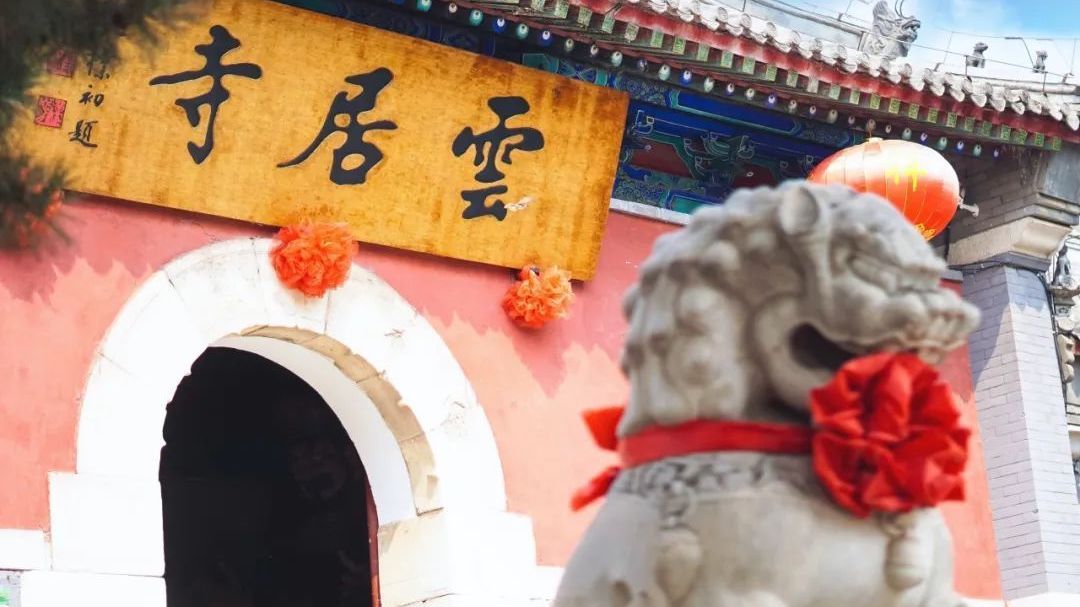 云居寺蜡梅绽放,邂逅春日禅意古韵之旅 云居寺蜡梅绽放,邂逅春日禅意古韵之旅