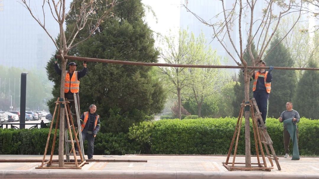 北京经开区多举措打好应对极端天气“主动仗” 北京经开区多举措打好应对极端天气“主动仗”