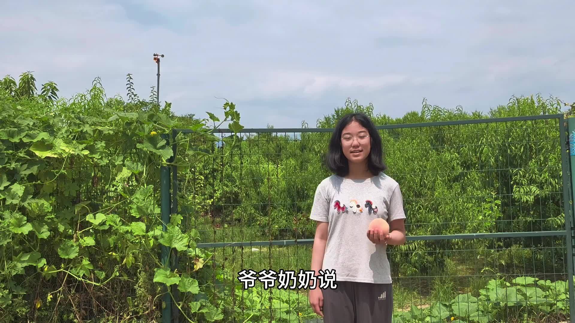 《典耀中华·京韵书香》作品分享:爷爷奶奶的“甜日子” 《典耀中华·京韵书香》作品分享:爷爷奶奶的“甜日子”