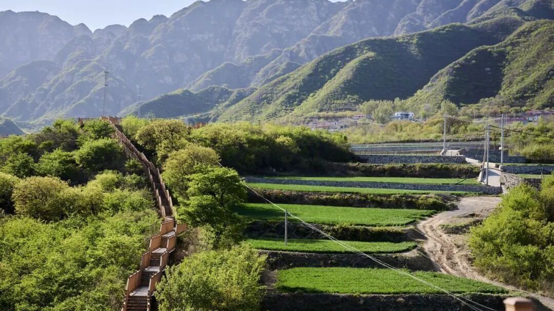 藏在昌平溜石港的云端栈道!花海山峦同框,氛围感拉满 藏在昌平溜石港的云端栈道!花海山峦同框,氛围感拉满
