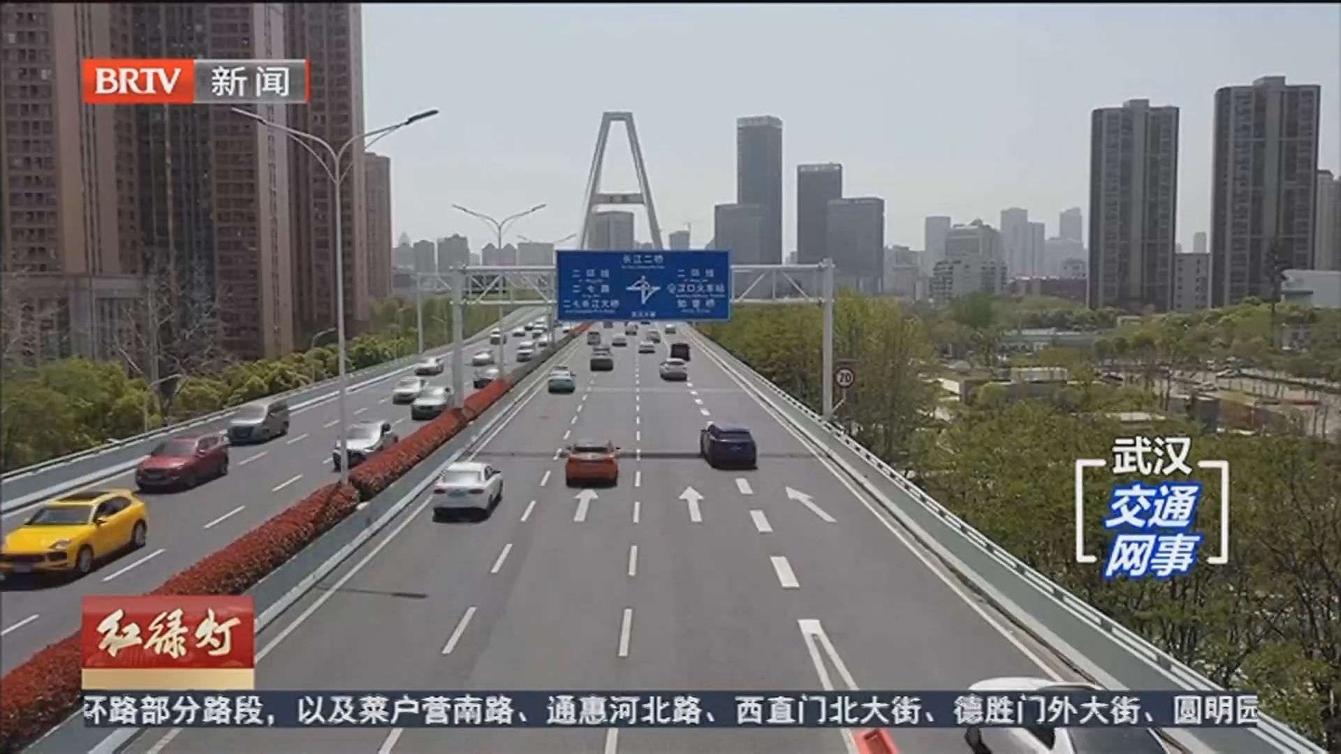 《红绿灯》20260211