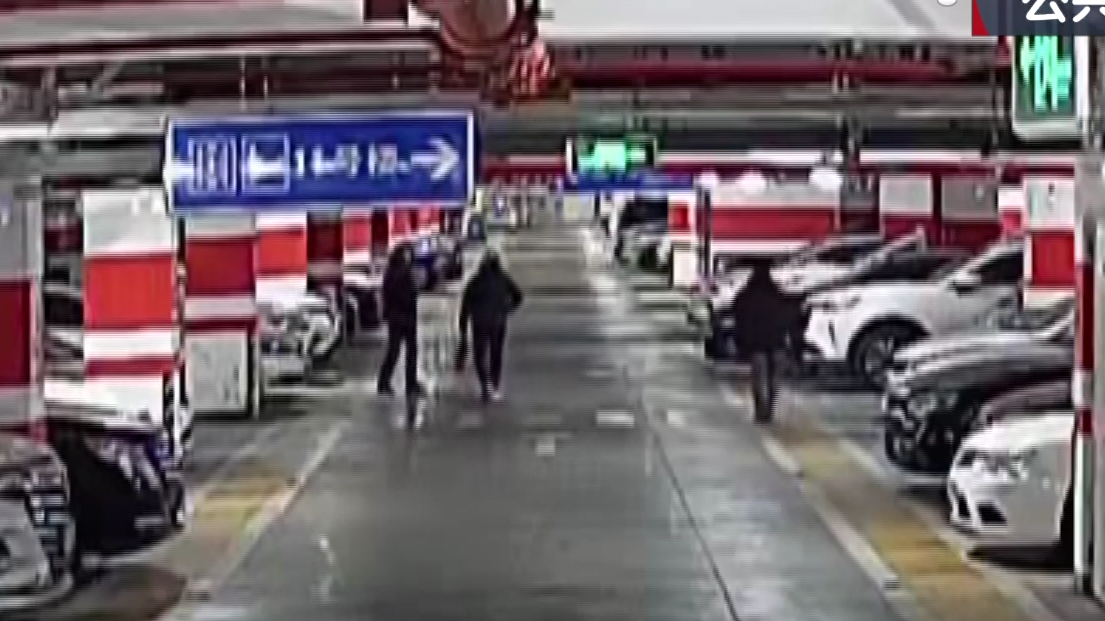 北京警方刑拘3名“拉车门爱好者”