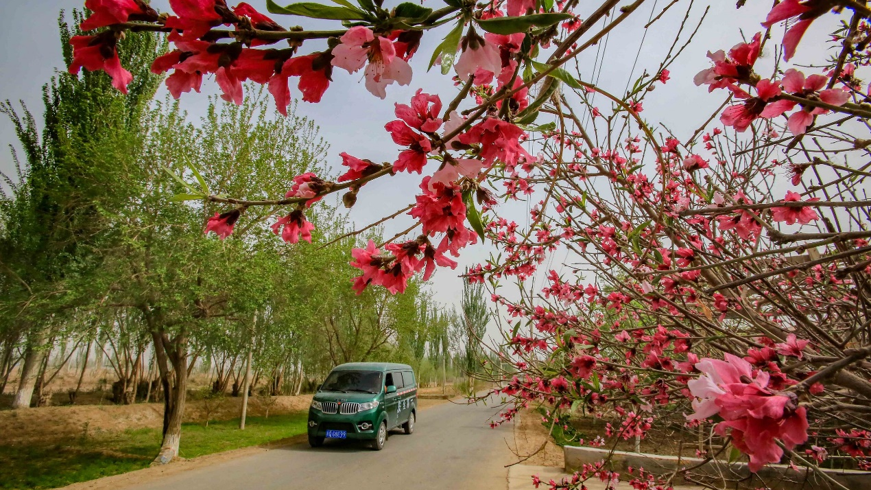 “乡乡有网点”基本实现,每天超亿件快递服务农村 “乡乡有网点”基本实现,每天超亿件快递服务农村