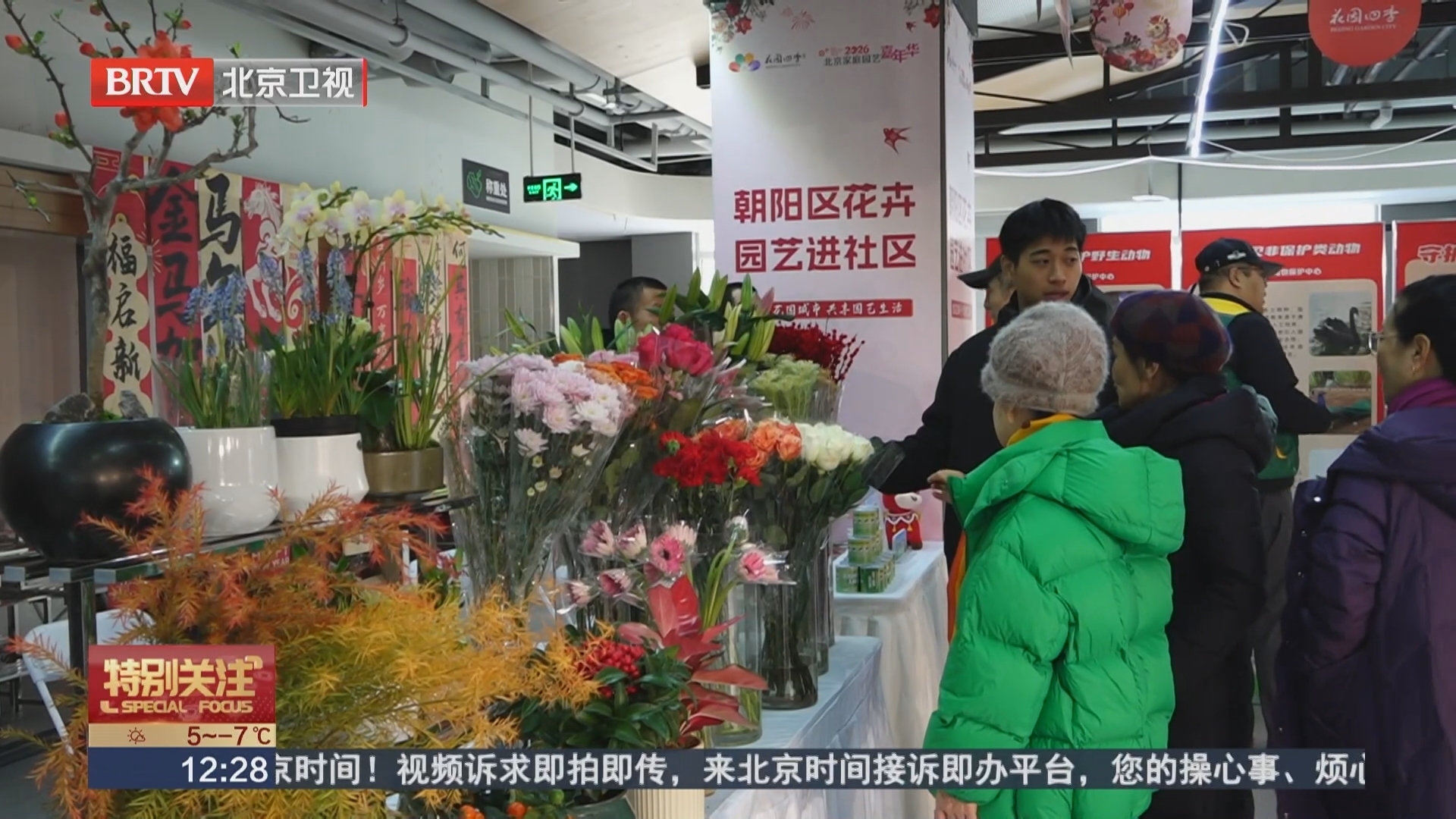 年宵花卉进社区 朝阳区居民家门口感受园艺生活