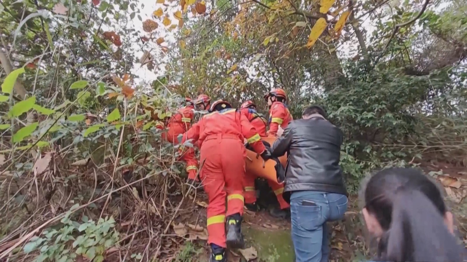7旬老人走失 消防“汪汪队”立功 7旬老人走失 消防“汪汪队”立功