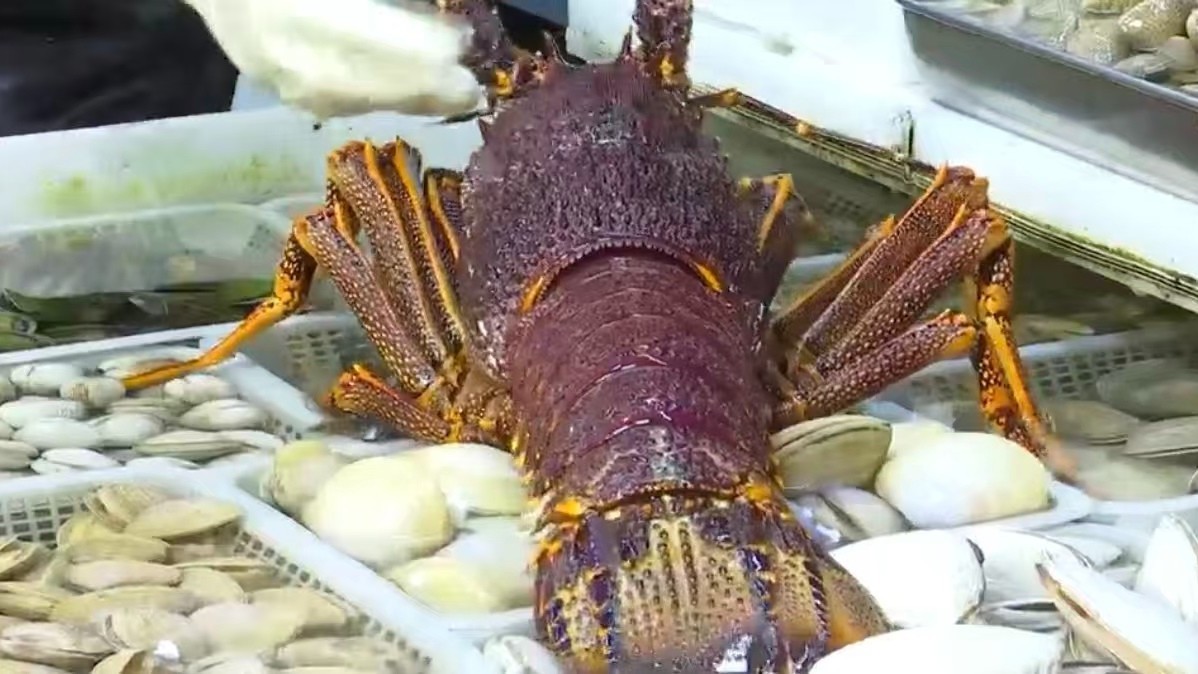 环球年货聚京城 烟火年味国际范儿 环球年货聚京城 烟火年味国际范儿