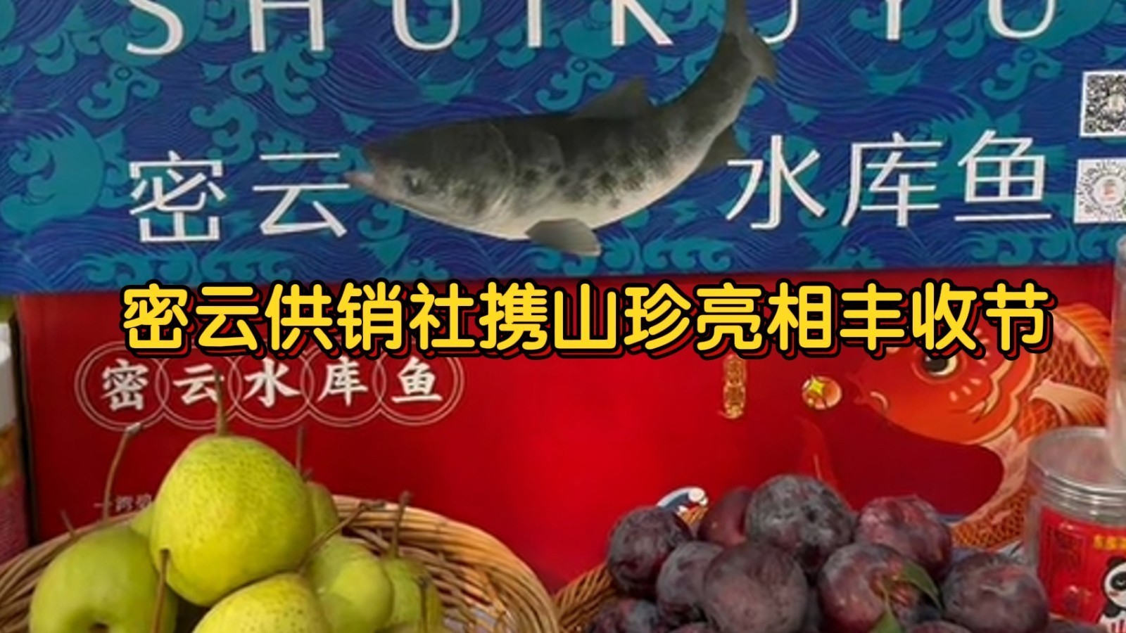 密云供销社携山珍亮相丰收节 水库鱼25日鲜活上市 密云供销社携山珍亮相丰收节 水库鱼25日鲜活上市